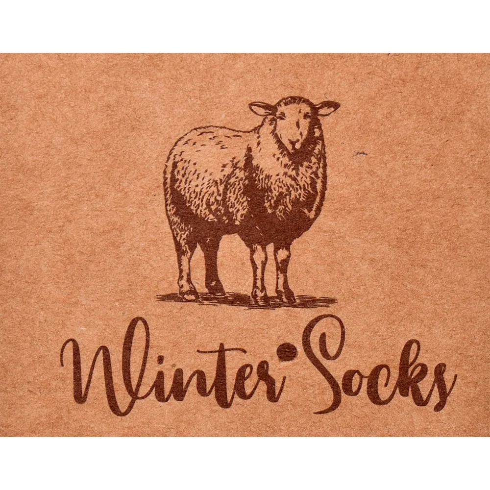 Chaussettes Homme WINTER SOCKS Hiver