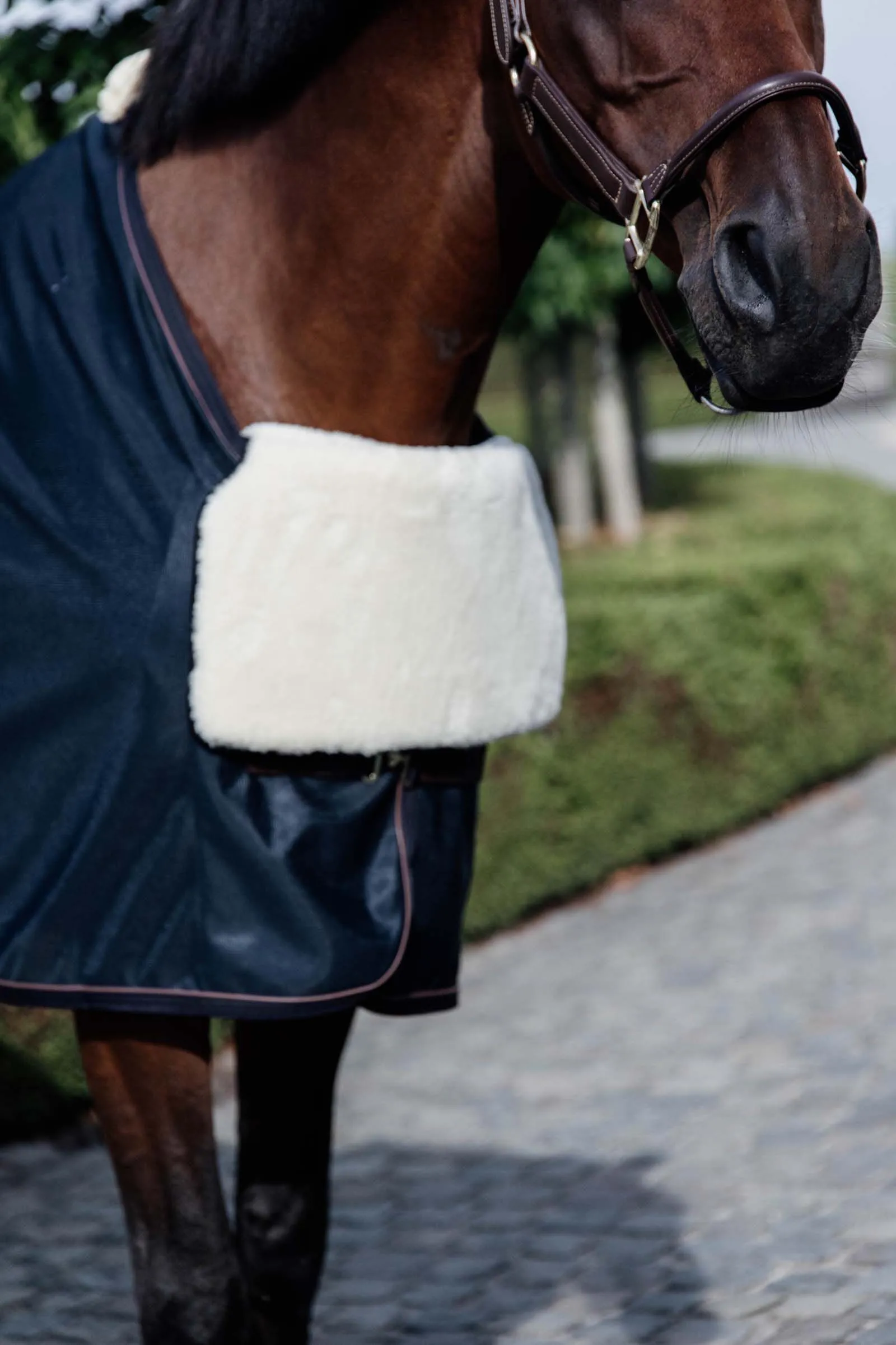 Kentucky Horsewear Horse Bib Protection Poitrail