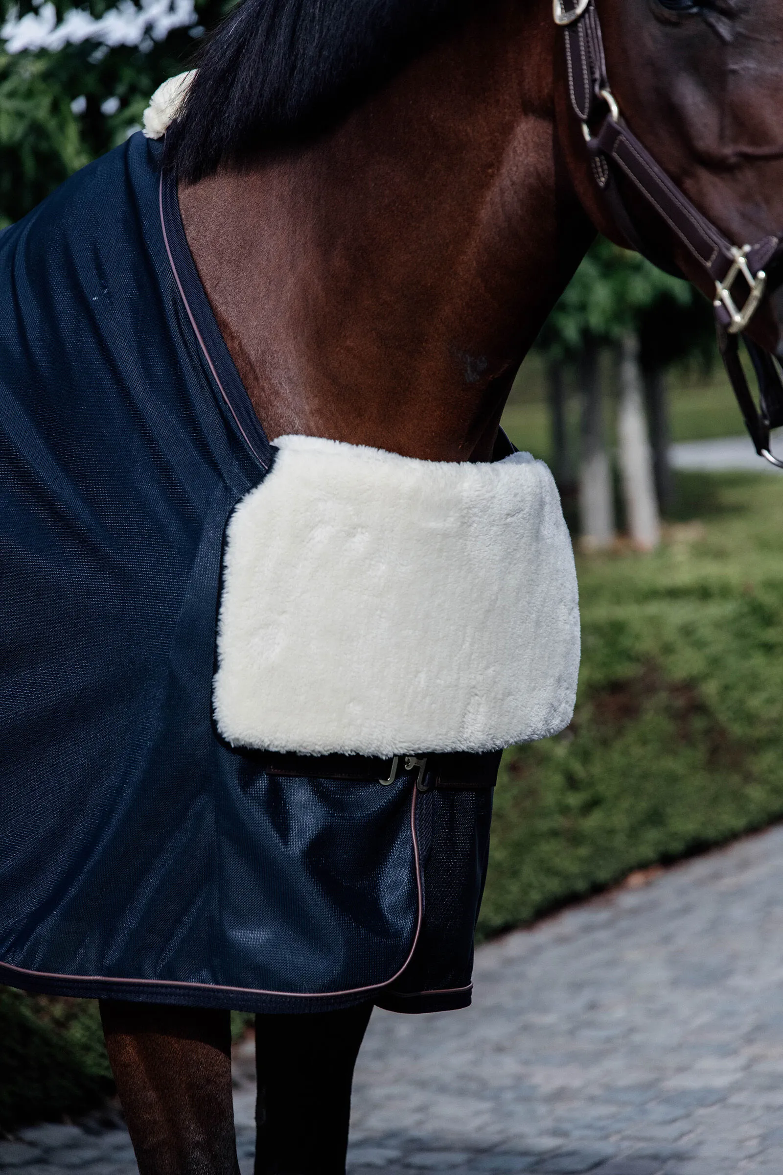 Kentucky Horsewear Horse Bib Protection Poitrail