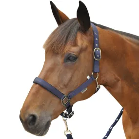 Licol Canter nylon doublé pour cheval