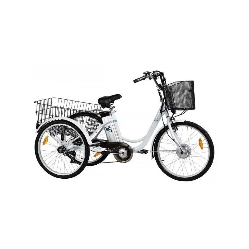 Tricycle à assistance électrique SE 300R-36